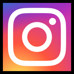 Button to The Citadel College Socialists' Instagram